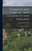 Common And Conspicuous Lichens Of New England: A Fieldbook For Beginners