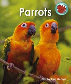 Parrots - George, Paul