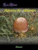 Römische Sklavin (eBook, ePUB)