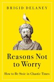 Reasons Not to Worry (eBook, ePUB)