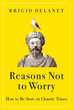 Reasons Not to Worry (eBook, ePUB) - Delaney, Brigid