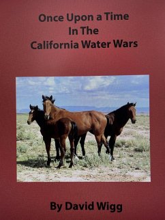 Cover Once Upon A Time In the California Water Wars (eBook, ePUB)