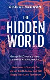 The Hidden World (eBook, ePUB)