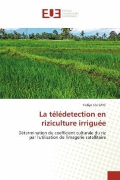 La télédetection en riziculture irriguée - SAYE, Yediye Léa