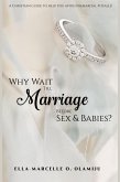 Why Wait Till Marriage Before Sex & Babies? (eBook, ePUB)