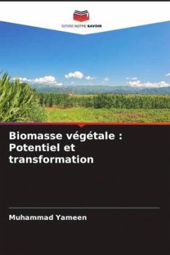 Biomasse végétale : Potentiel et transformation - Yameen, Muhammad