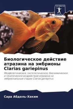 Biologicheskoe dejstwie atrazina na ämbriony Clarias gariepinus - Abdel'-Hakim, Sara