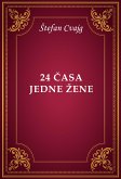 24 časa jedne žene (eBook, ePUB)