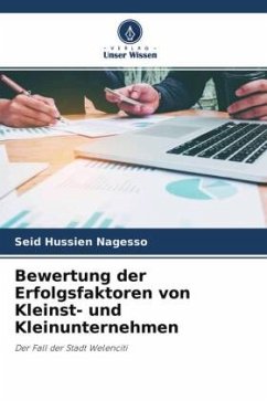 Bewertung der Erfolgsfaktoren von Kleinst- und Kleinunternehmen - Nagesso, Seid Hussien