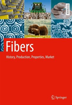 Fibers (eBook, PDF) - Veit, Dieter