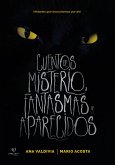 Cuentos de misterio, fantasmas y aparecidos (eBook, ePUB)