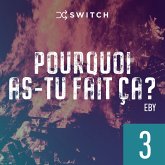 Pourquoi as-tu fait ça 3 (MP3-Download)