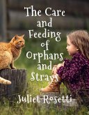 The Care & Feeding of Orphans and Strays (eBook, ePUB)