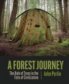 A Forest Journey (eBook, ePUB)
