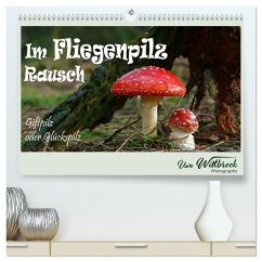 Im Fliegenpilz Rausch (hochwertiger Premium Wandkalender 2024 DIN A2 quer), Kunstdruck in Hochglanz