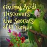 Guimo Audi Discovers the Secrets of El... - Bild 1