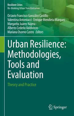 Urban Resilience: Methodologies, Tools and Evaluation (eBook, PDF)