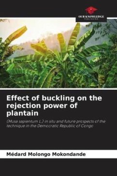 Effect of buckling on the rejection power of plantain - Mokondande, Médard Molongo