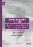 International Labour Mobility (eBook, PDF)