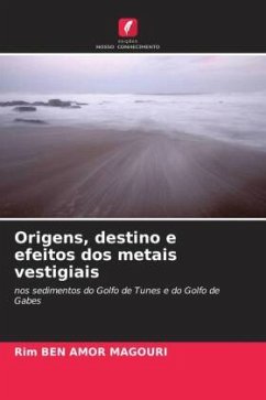 Origens, destino e efeitos dos metais vestigiais - Ben Amor Magouri, Rim