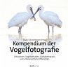 Kompendium der Vogelfotografie (eBook,... - Bild 1