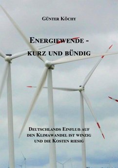 Energiewende - Kurz und Bündig (eBook, ePUB)