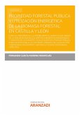 Propiedad forestal pública y utilización energética de la biomasa forestal en Castilla y León (eBook, ePUB)