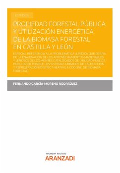 Propiedad forestal pública y utilización energética de la biomasa forestal en Castilla y León (eBook, ePUB) - García-Moreno Rodríguez, Fernando