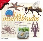 Los invertebrados (eBook, ePUB)