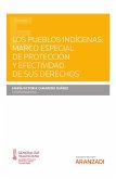 Los pueblos indígenas: marco especial de protección y efectividad de sus derechos (eBook, ePUB)