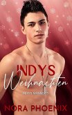 Indys Weihnachten (Indys Männer, #5) (eBook, ePUB)