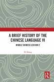 A Brief History of the Chinese Language VI (eBook, ePUB)