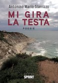 Mi gira la testa (eBook, ePUB)