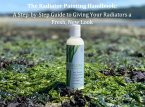 Seaweed Skincare Secrets: A Complete Guide to Radiant, Youthful Skin (Help Yourself!, #5) (eBook, ePUB)