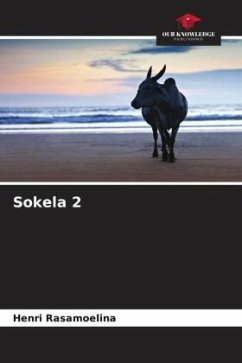 Sokela 2 - Rasamoelina, Henri