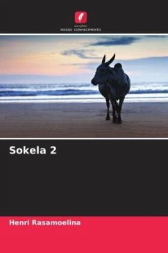 Sokela 2 - Rasamoelina, Henri