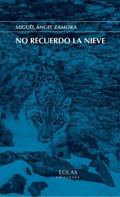 Cover No recuerdo la nieve
