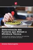 Determinação dos Factores que Afetam a Eficiência Técnica