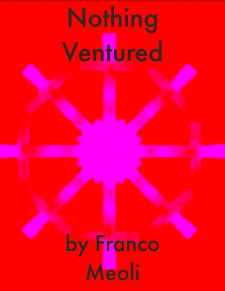 Nothing Ventured (eBook, ePUB)