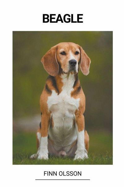 Beagle Beagle