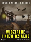 Widzialne i niewidzialne. Zbiór opowiadań (eBook, ePUB)