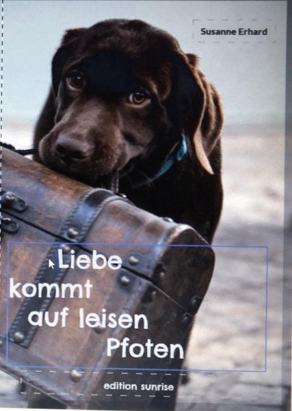 Liebe kommt auf leisen Pfoten (eBook, ePUB)