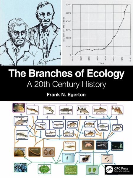 The Branches of Ecology (eBook, PDF)