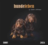 Kal. 2024 Hundeleben 38,0 x 35,5 Kal. 2024 Hundeleben 38,0 x 35,5
