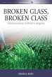 Broken Glass, Broken Class (eBook, PDF) - Bild 1