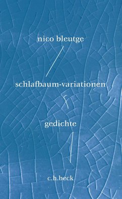 schlafbaum-variationen (eBook, ePUB) - Bleutge, Nico
