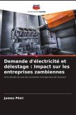 Demande d'électricité et délestage : Impact sur les entreprises zambiennes