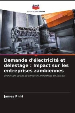 Demande d'électricité et délestage : Impact sur les entreprises zambiennes - Phiri, James