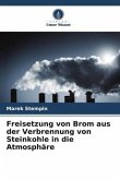 Freisetzung von Brom aus der Verbrennung von Steinkohle in die Atmosphäre