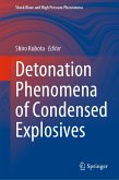 Detonation Phenomena of Condensed Explosives (eBook, PDF)